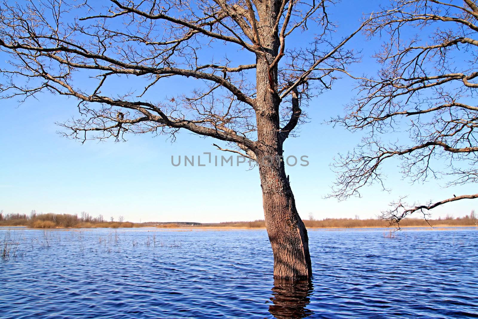 spring flood