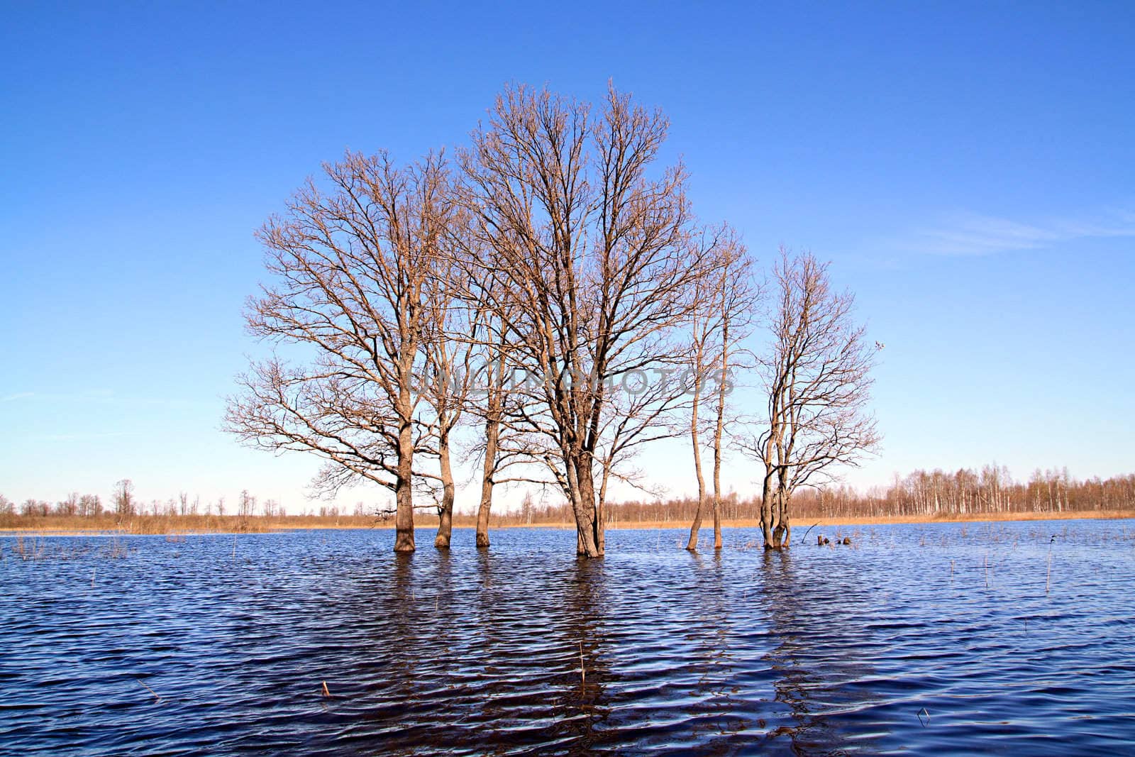 spring flood
