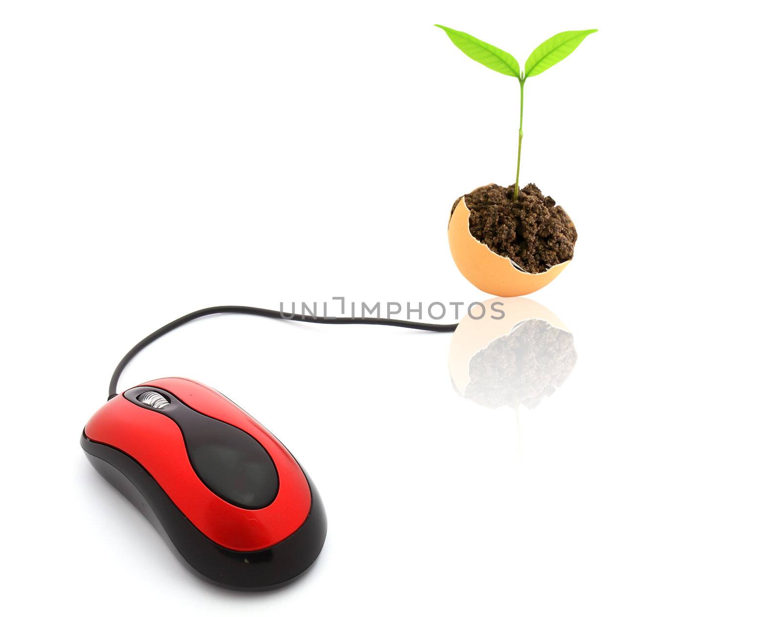 Pc mouse isolated on white with clipping path  by rufous