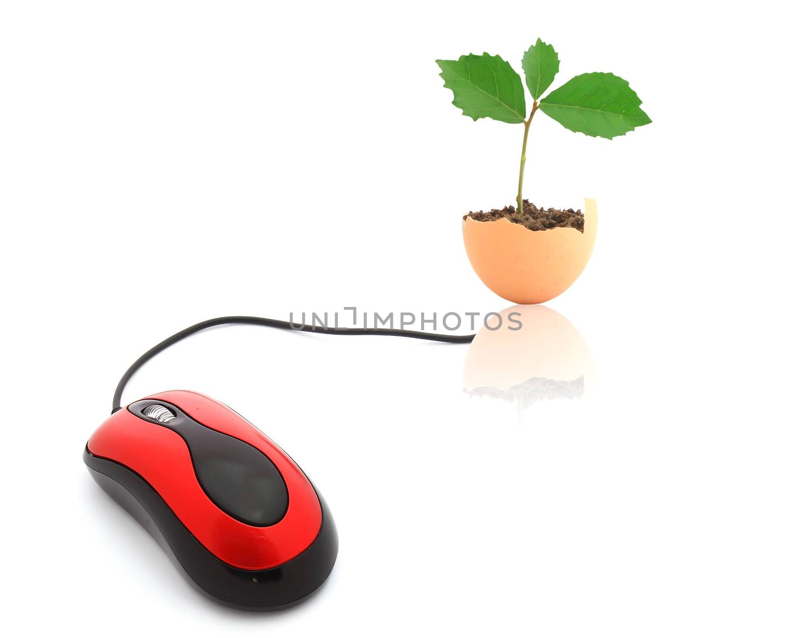 Pc mouse isolated on white with clipping path  by rufous