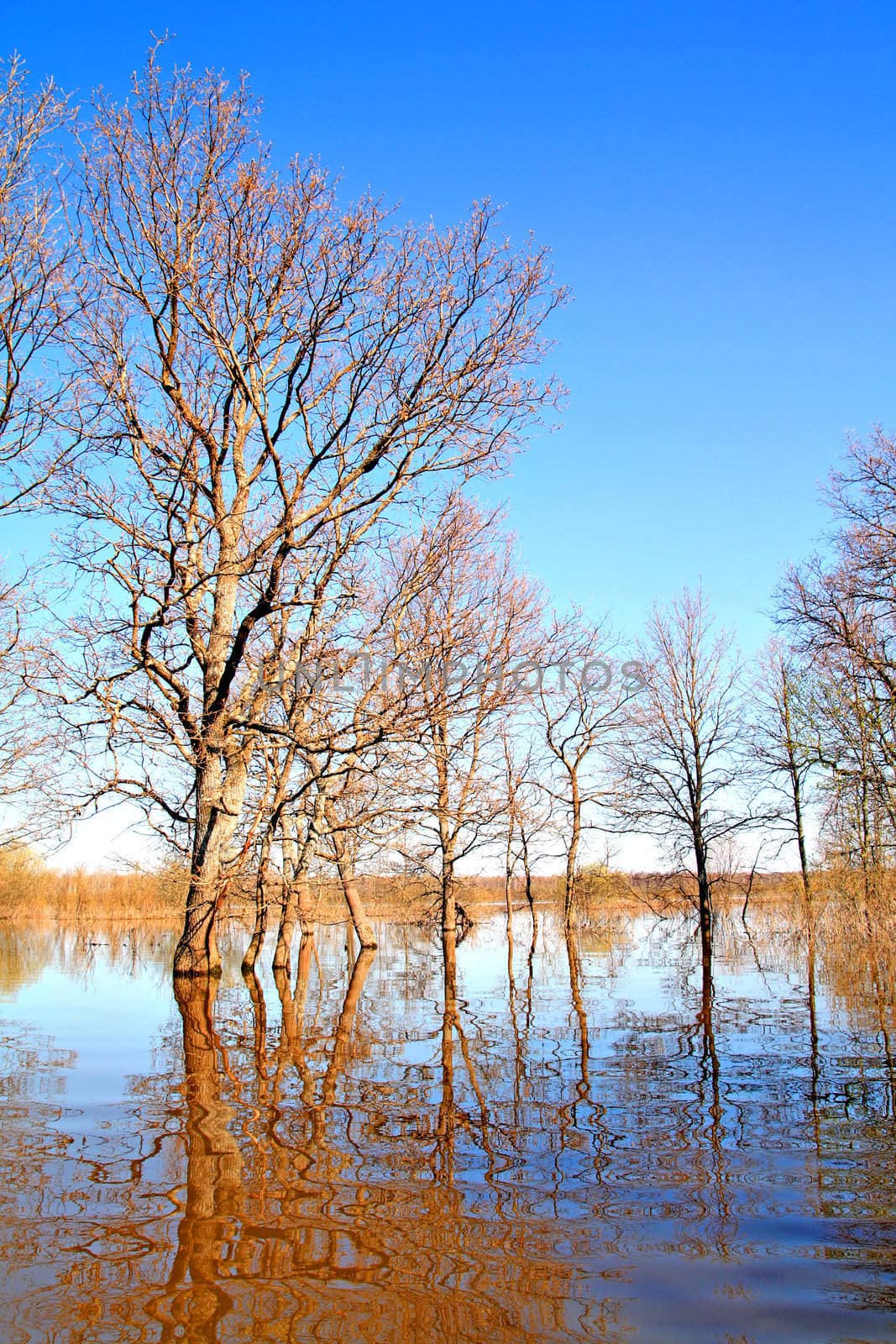 spring flood
