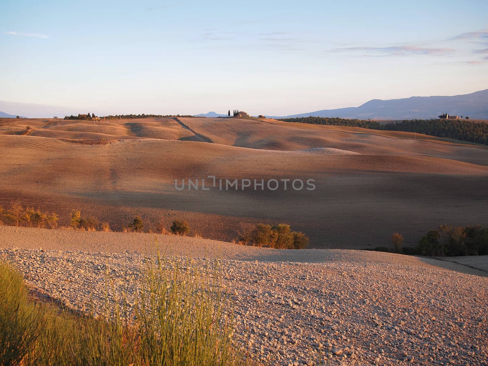 The typical barren hills of the Val d�Orcia in Tuscany, Italy in autumn.