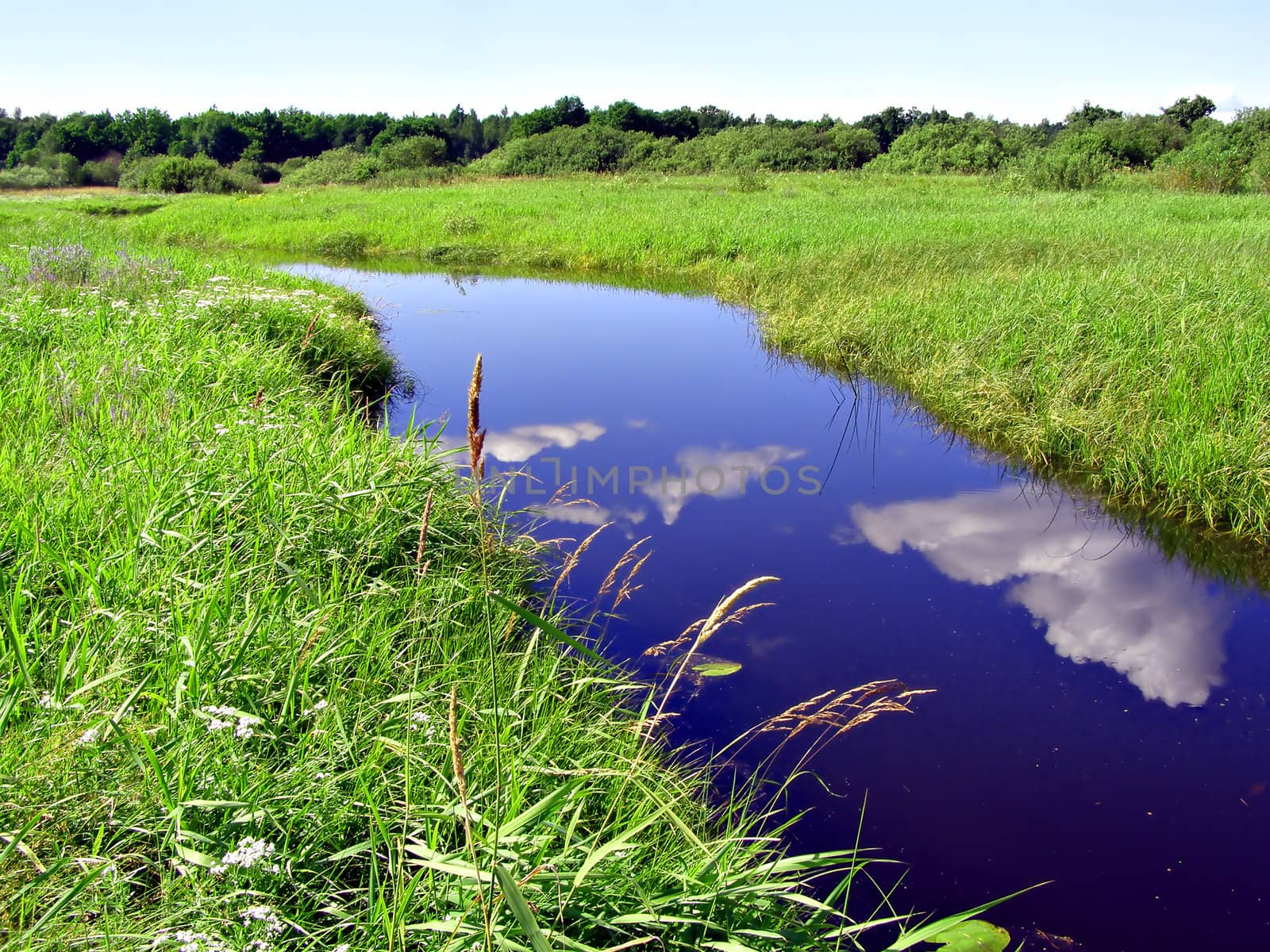river on field