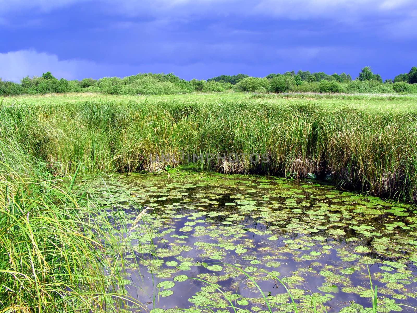 small lake on field