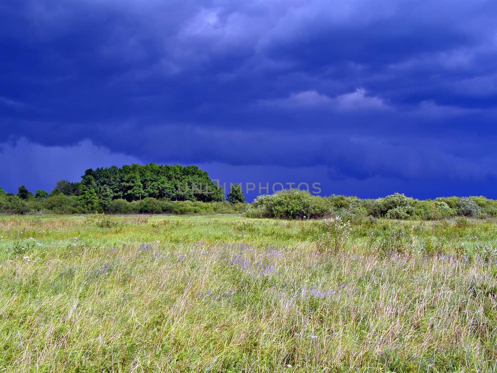 meadow before thunderstorm