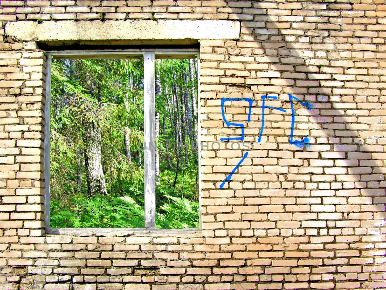 view from old window. abstract