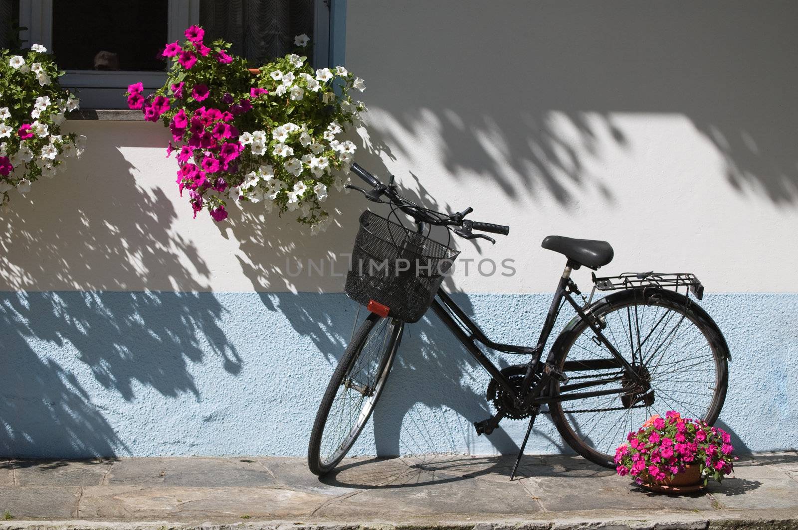 Bicycle near window with flowers