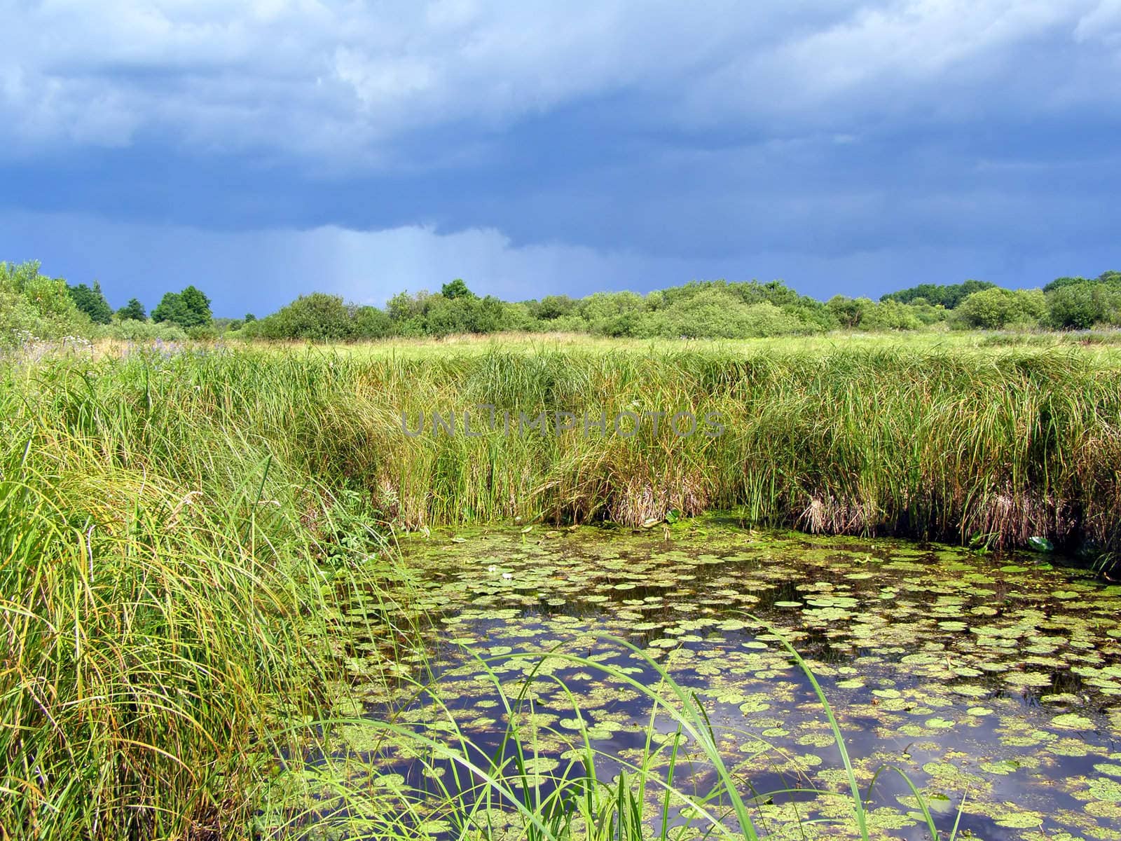 small lake on field