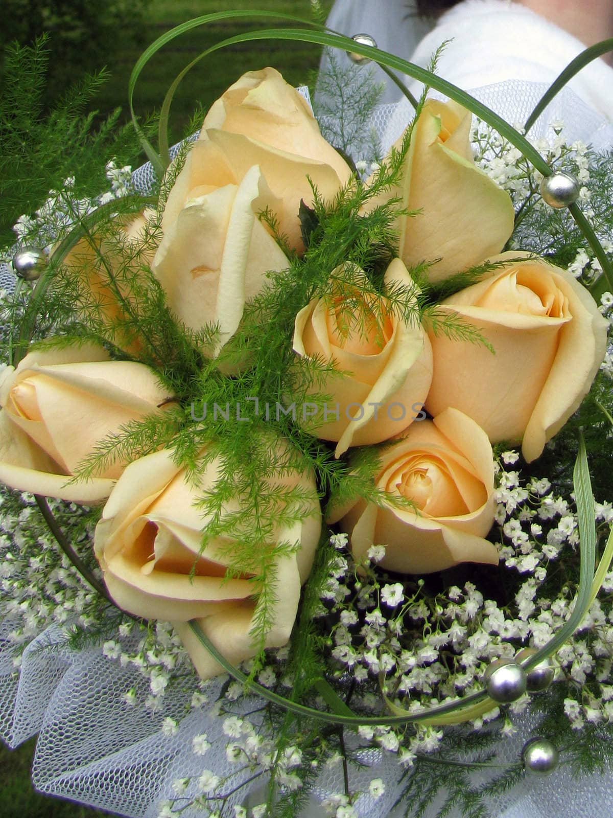 Roses; a bouquet of the bride; flowers; the red; the scarlet; greens; leaves; a plant; vegetation 