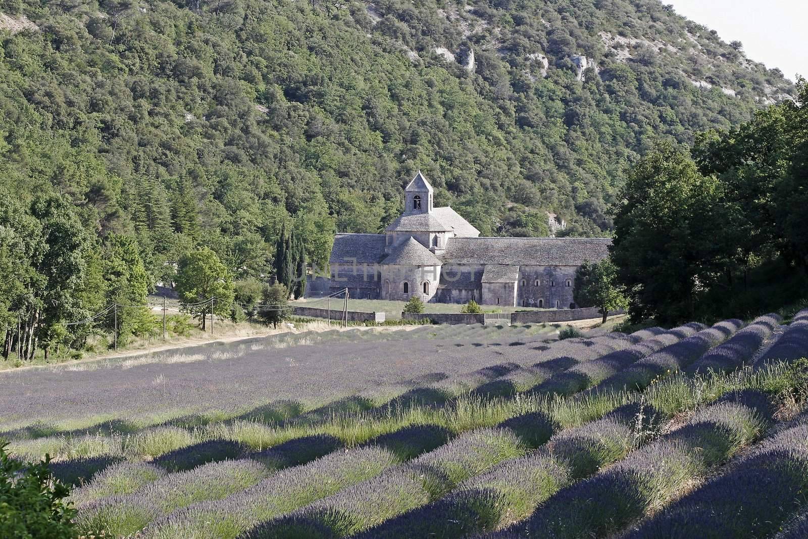Abbaye Notre-Dame de Senanque by Natureandmore