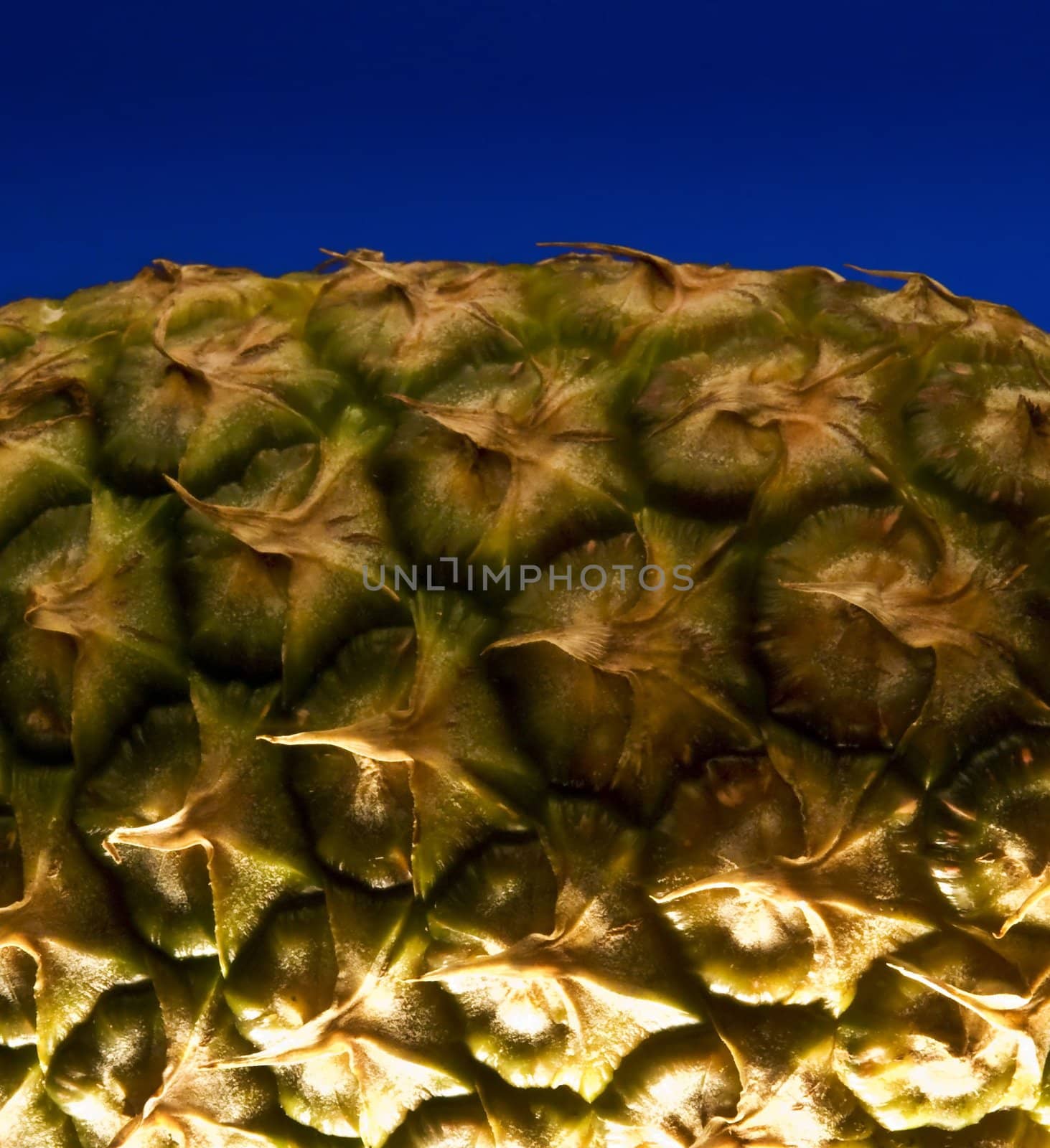 pineapple on a dark blue background