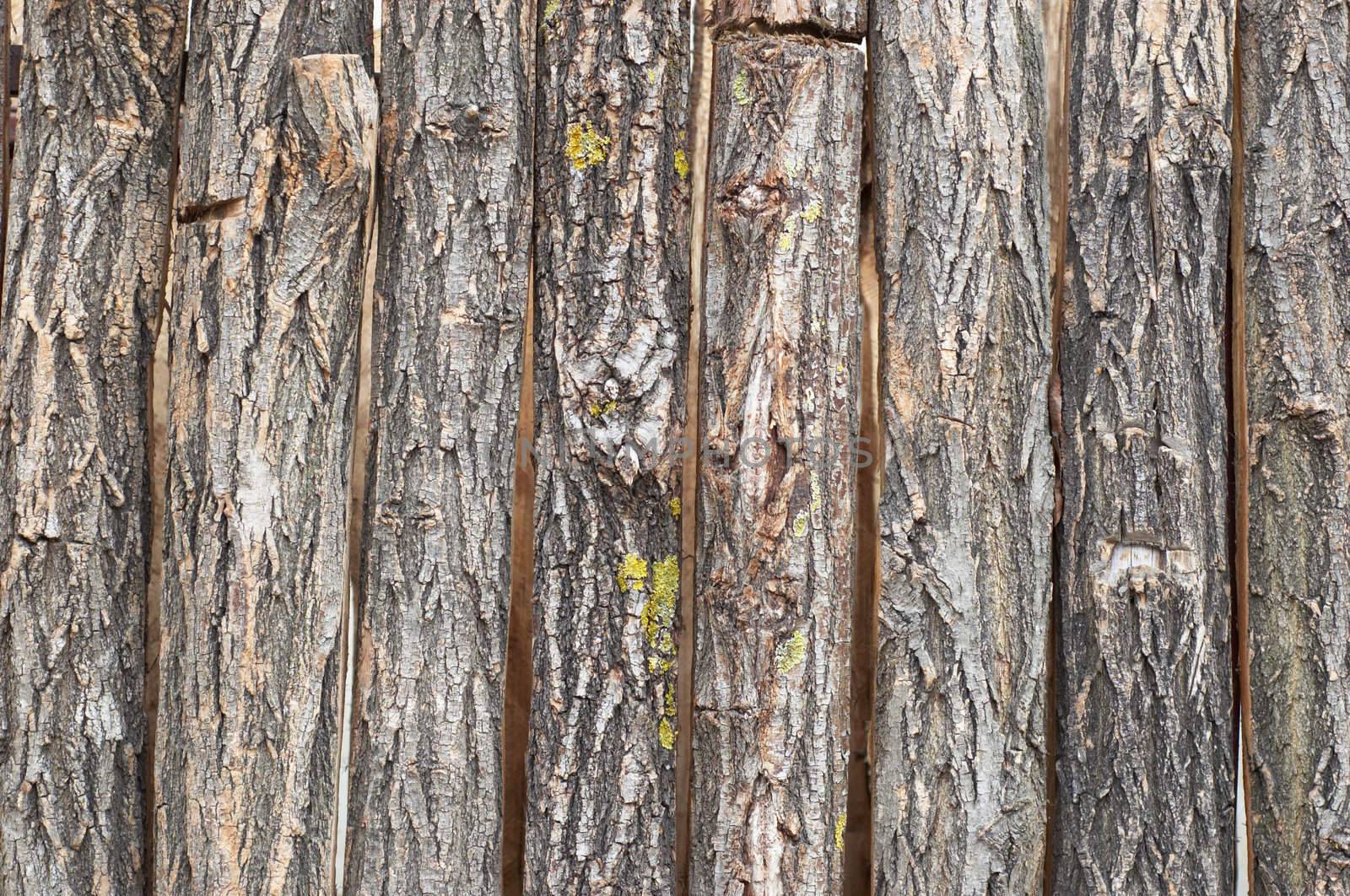 bark vertical slabs by starush