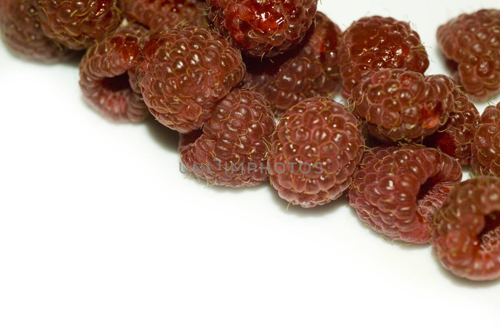 isolated raspberries macro shot