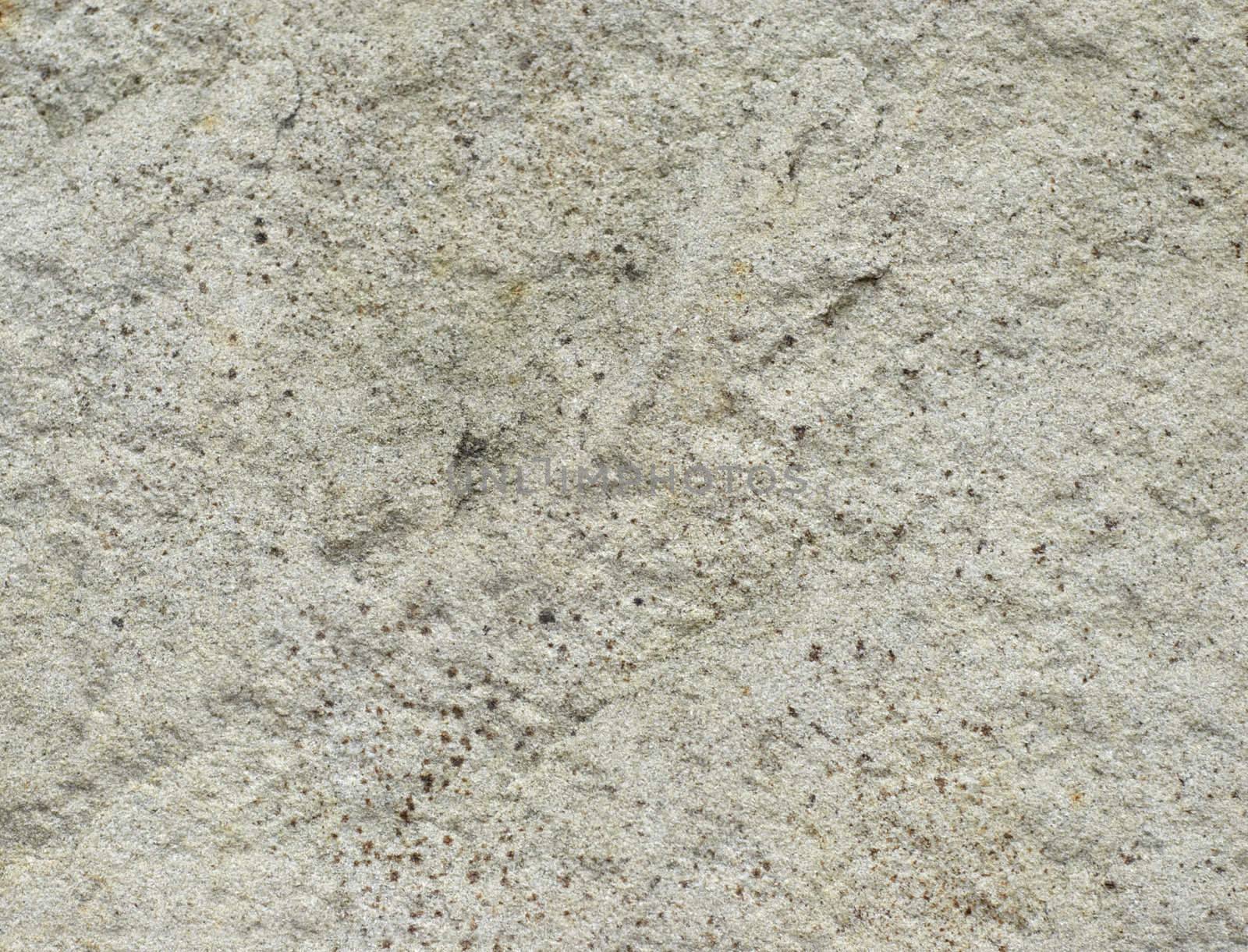 grunge concrete texture, very rough grain, non smooth surface