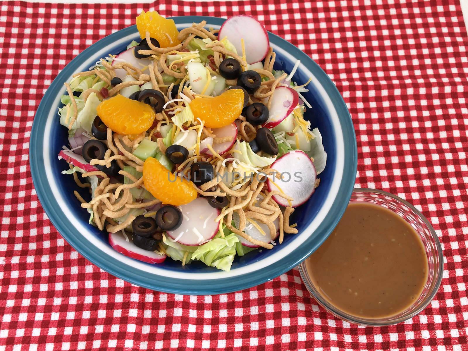 Crisp salad of lettuce, radishes, olives, mandarin oranges, cheese and Chinese noodles. Studio isolated over a red checked cloth