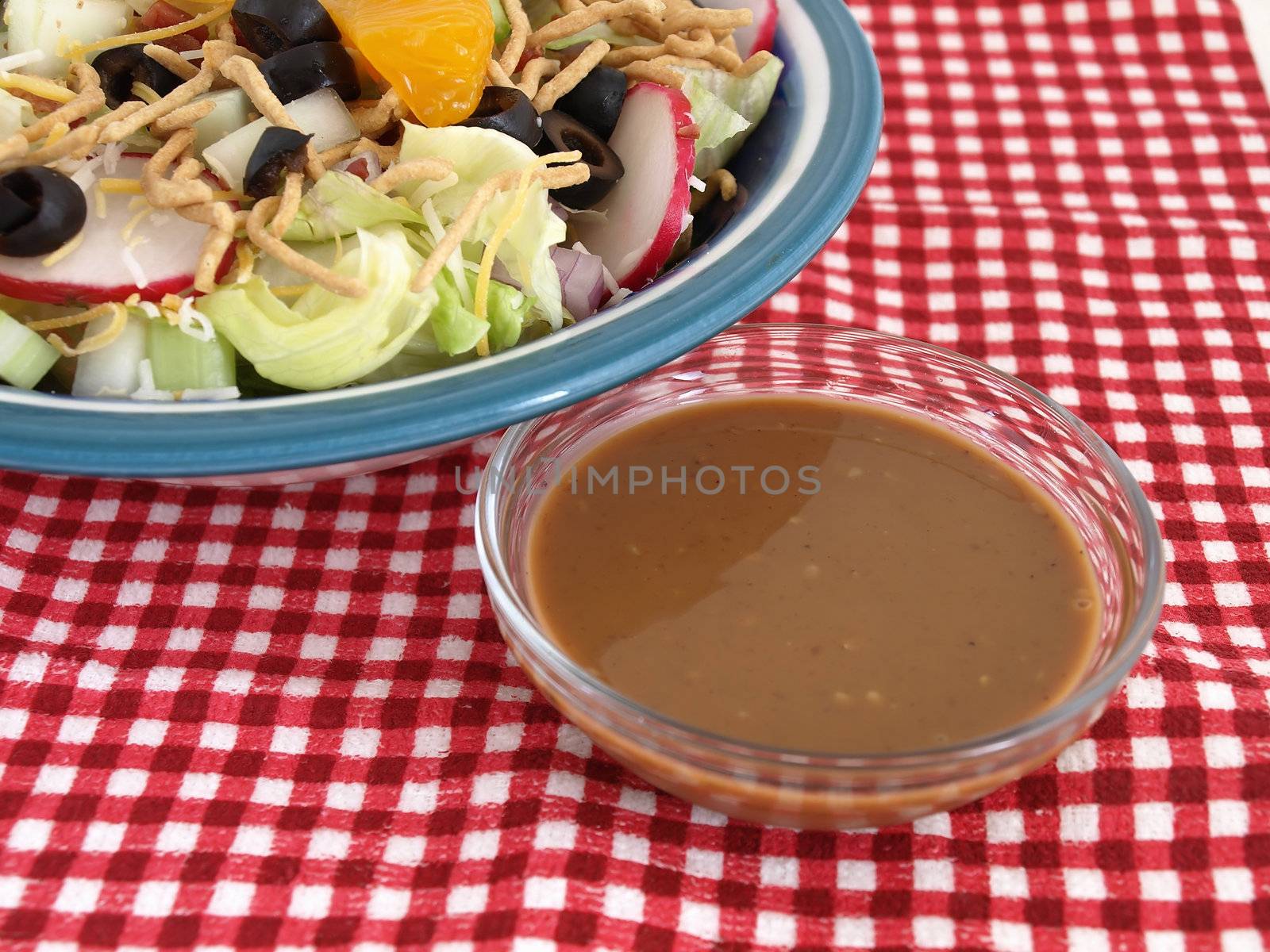 Salad and Dressing on Red Checks by RGebbiePhoto