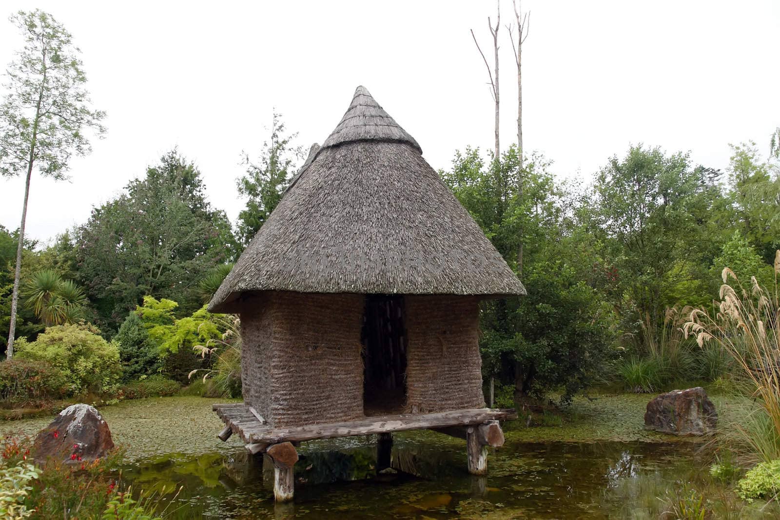 aincent hut in a marsh in the midlands of ireland