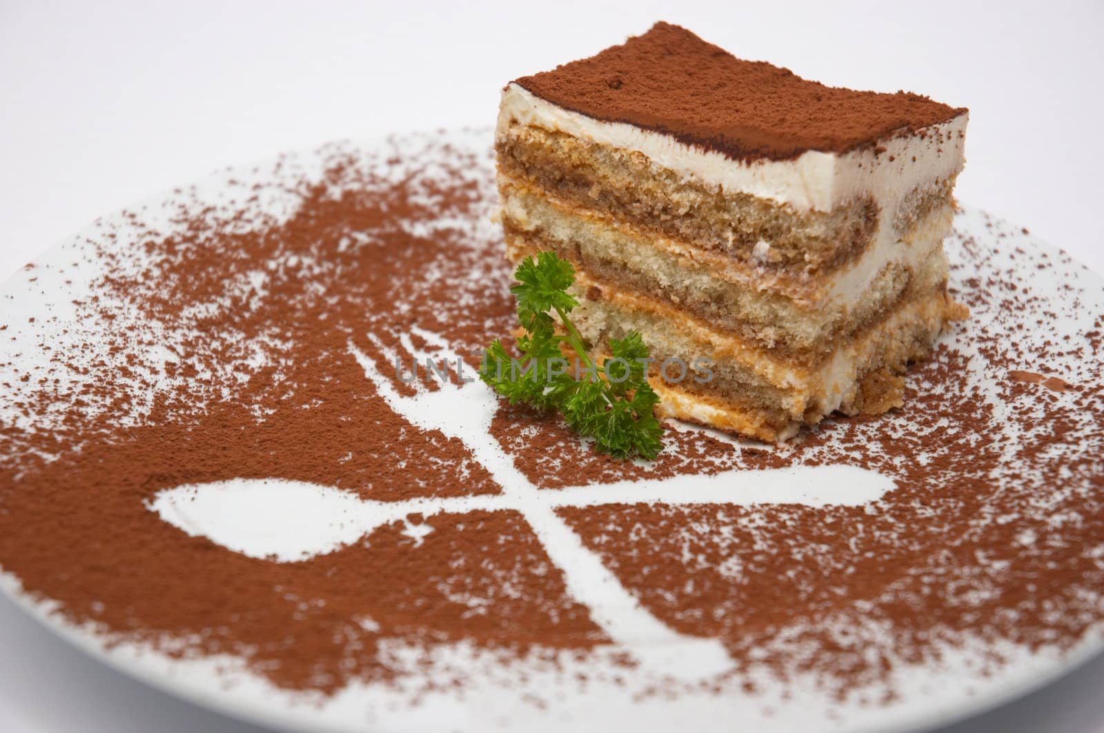 tiramisu dessert served on plate with cpecial decoration. isolated. shallow dof.
