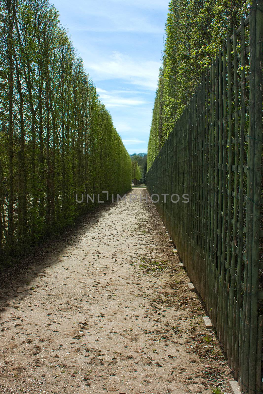 A nice and peaceful path in the gardens of Versailles in France