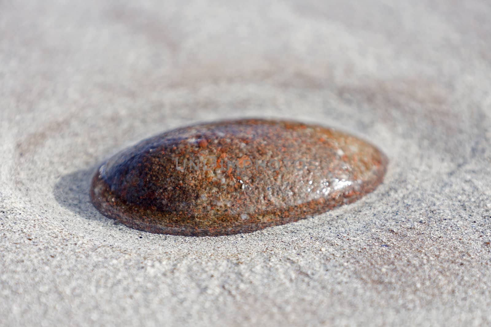 single red stone in sandy ground with water around