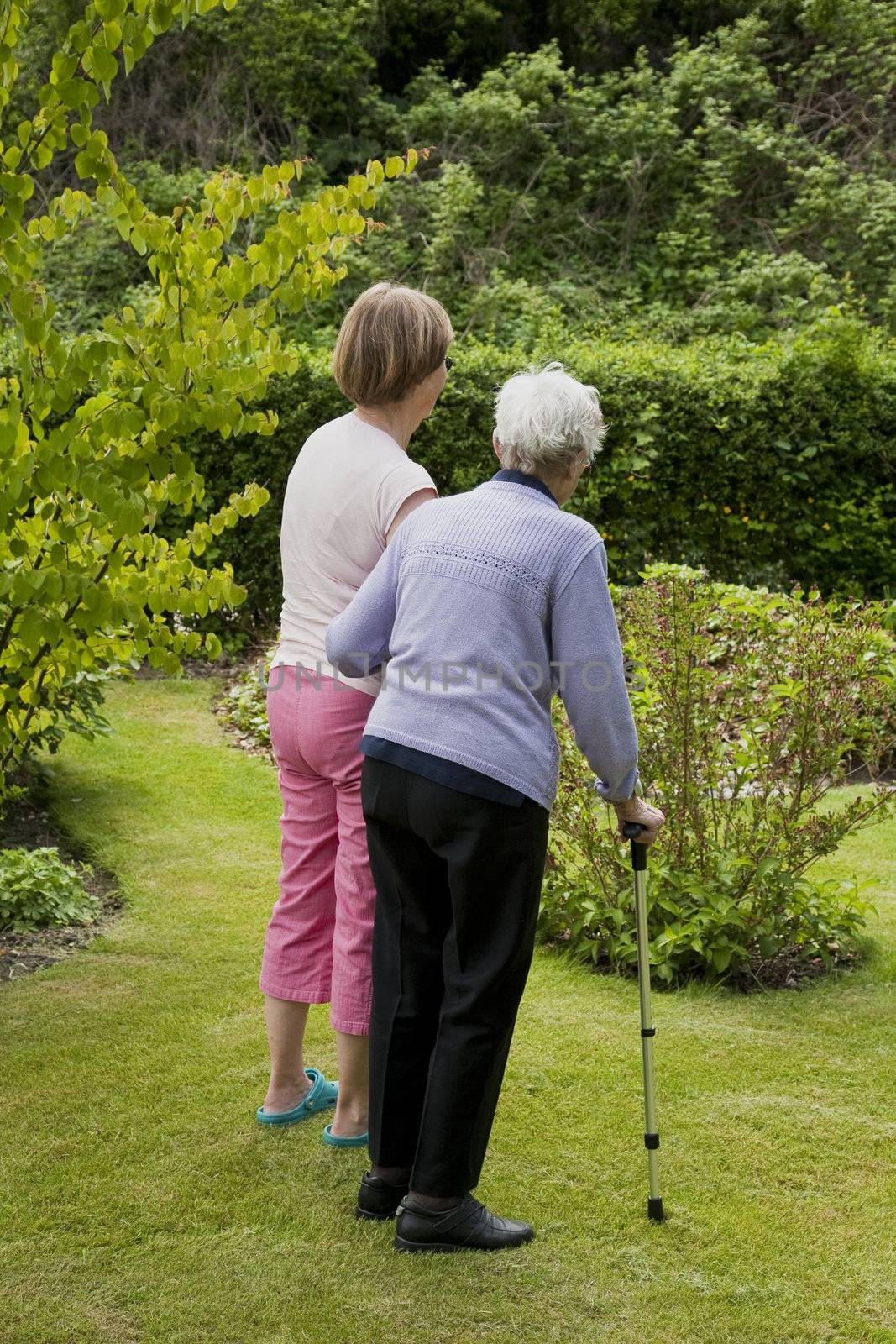 To generations looking at their allotment garden at summertime - Denmark