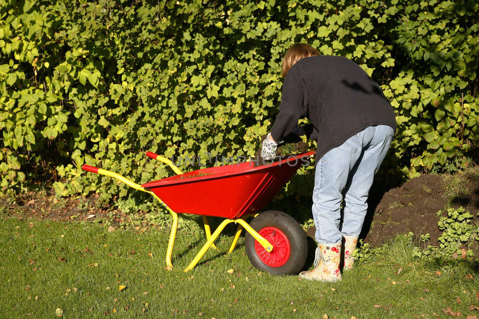 Mature woman at autumn gardening working in the low sunlight.