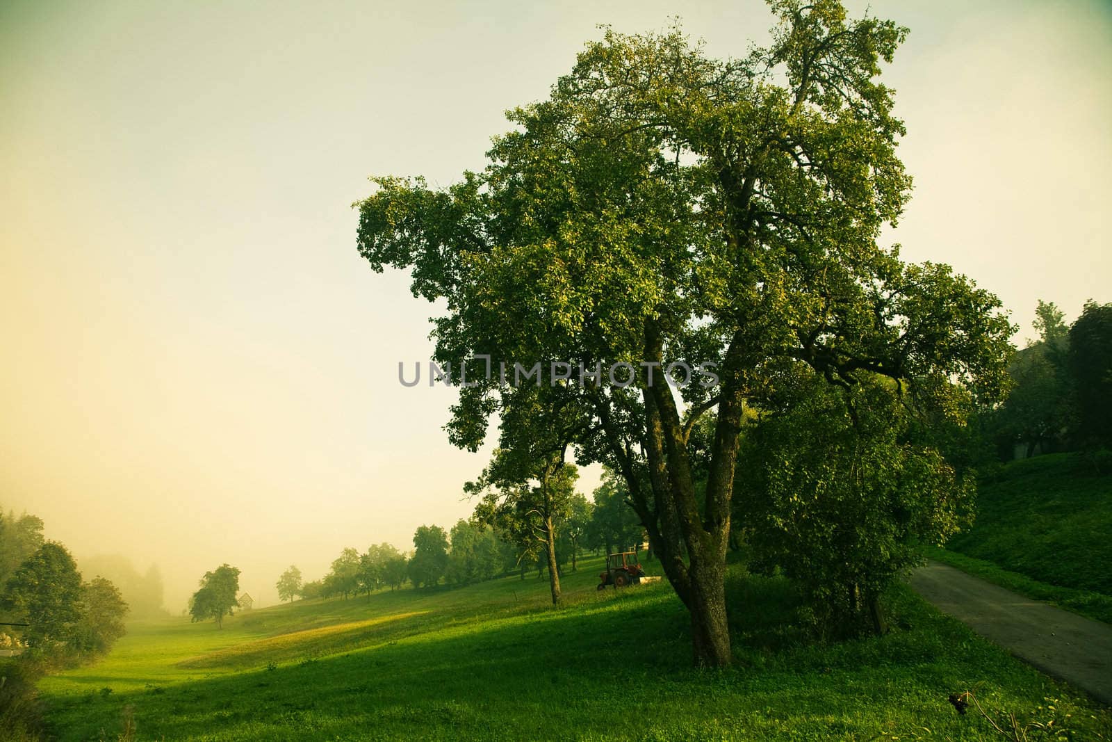 Misty september morning by ABCDK