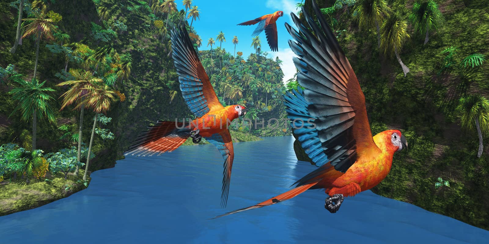 Three amazing parrots fly over a jungle river in their brightly colored plumage.