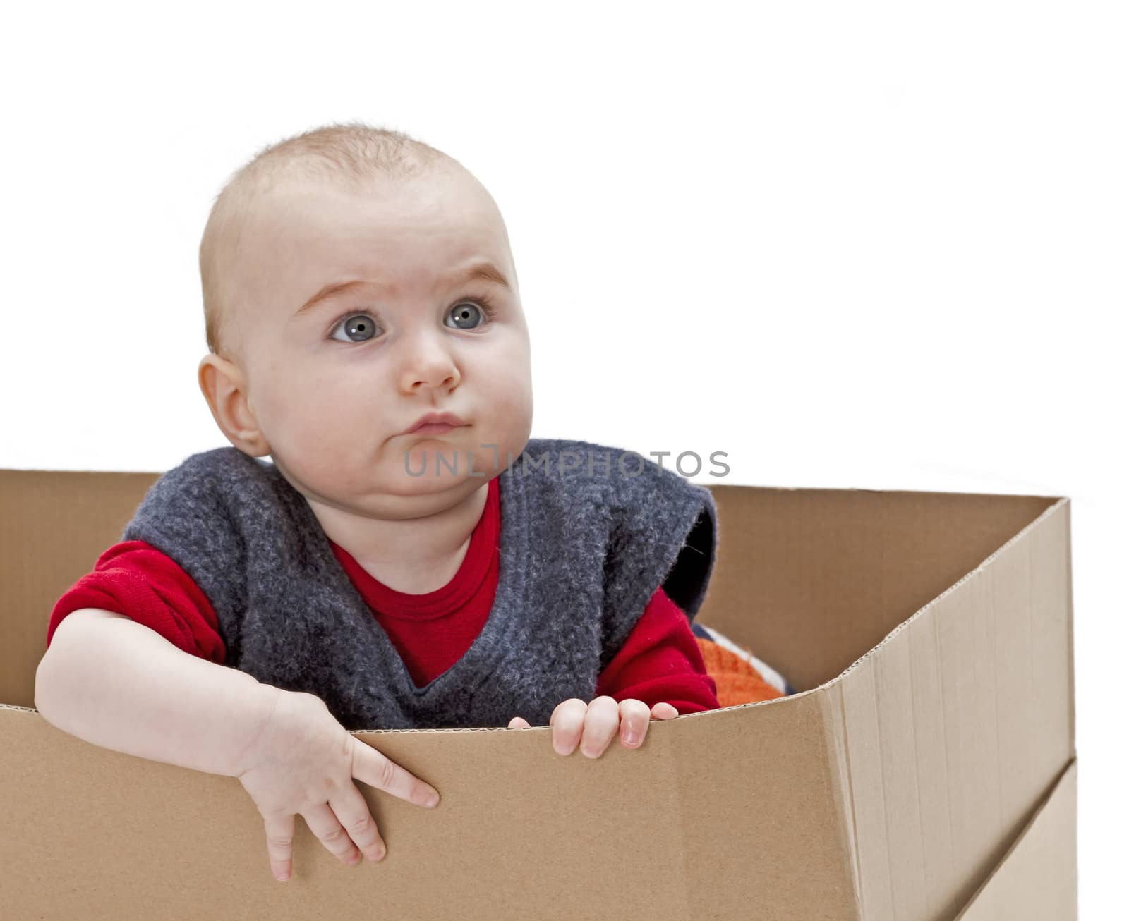young child looking out of open cardboard box
