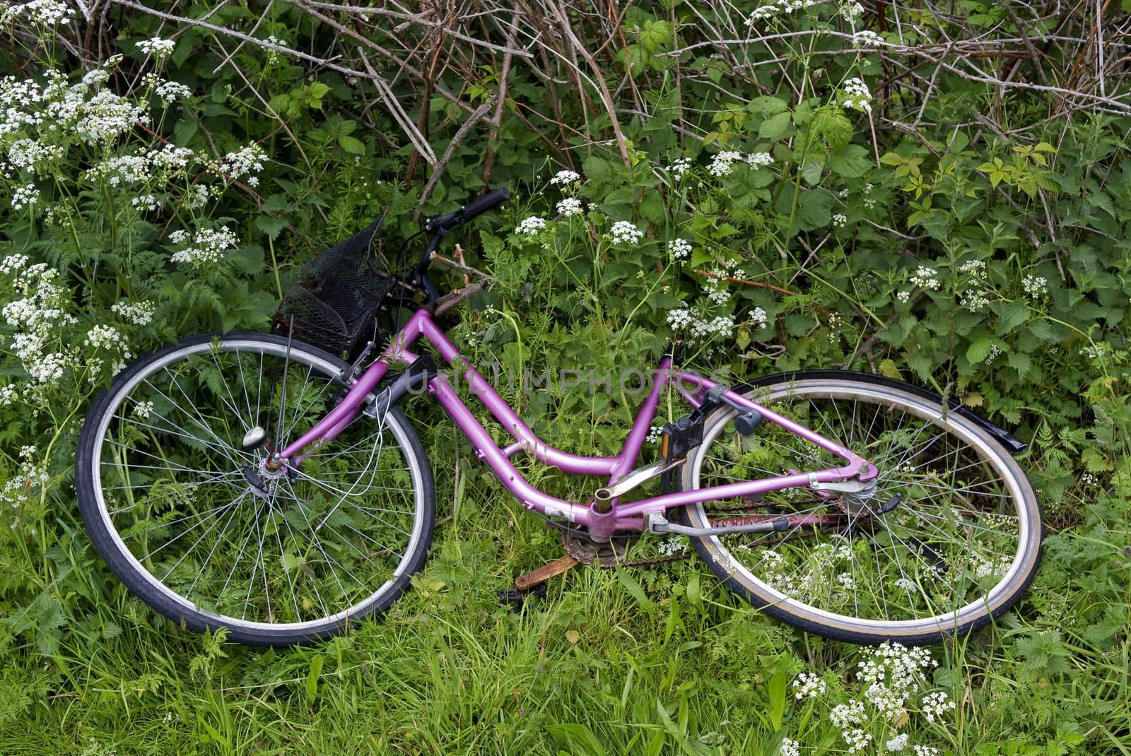 A pink female bicycle thrown in the roadside - Denmark.