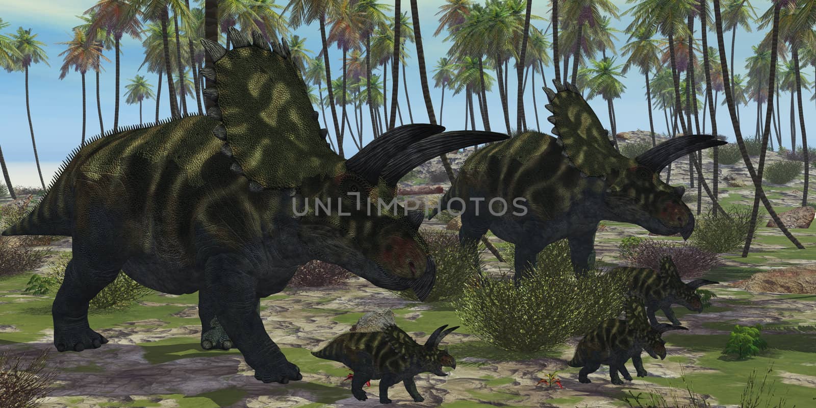 Two mother Coahuilaceratops dinosaurs escort their baby hatchlings among the palm trees of prehistoric times.