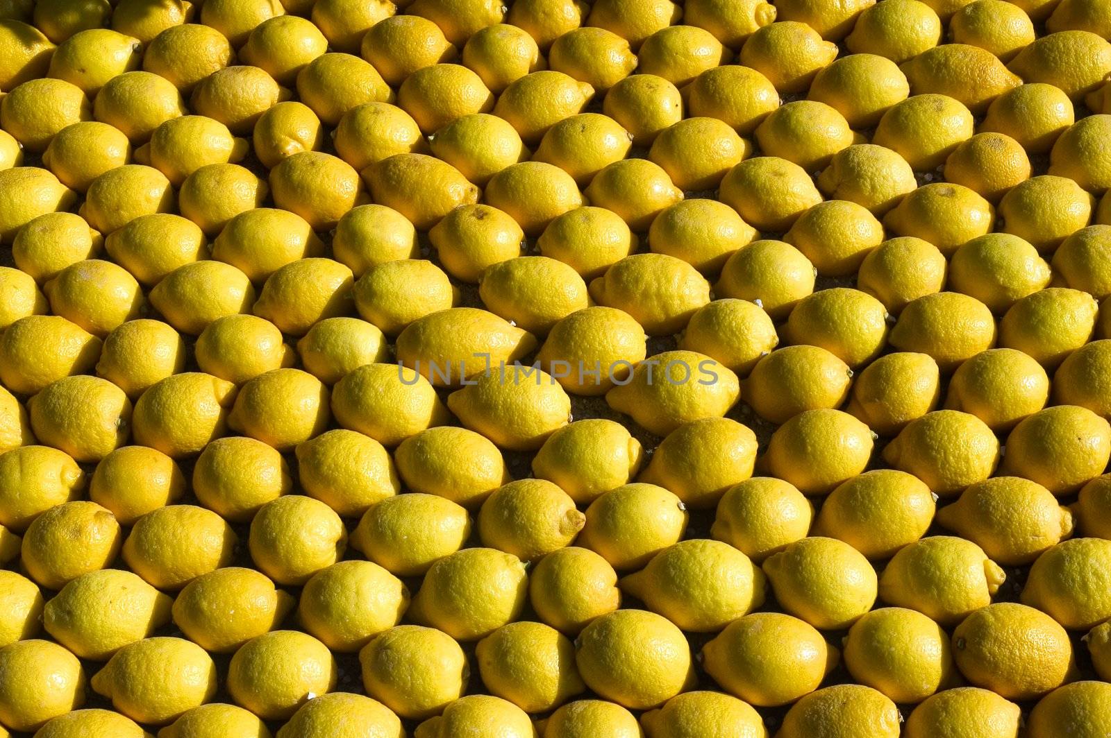 lemon Menton 2011 celebrates by gillespaire