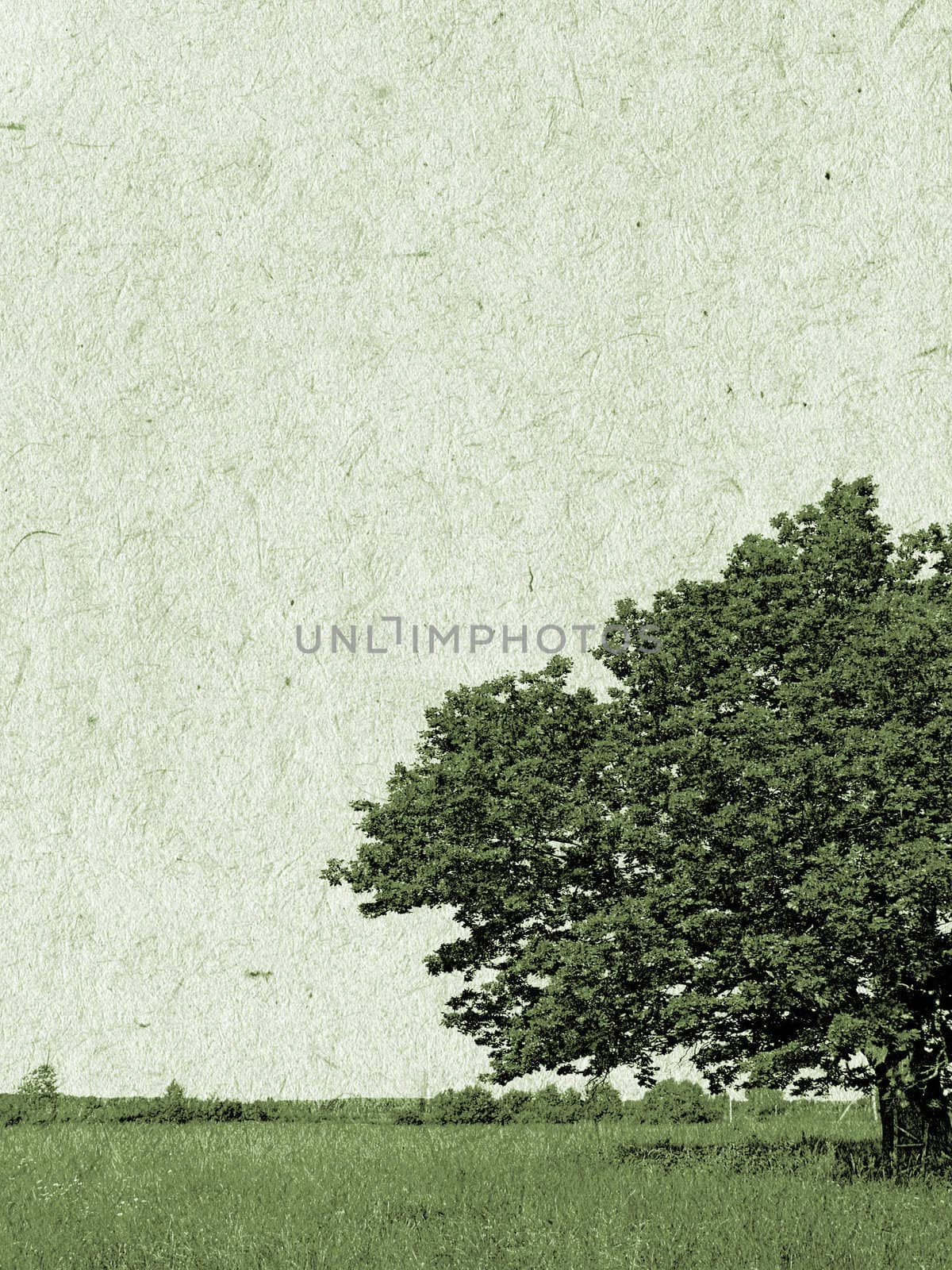 grunge background