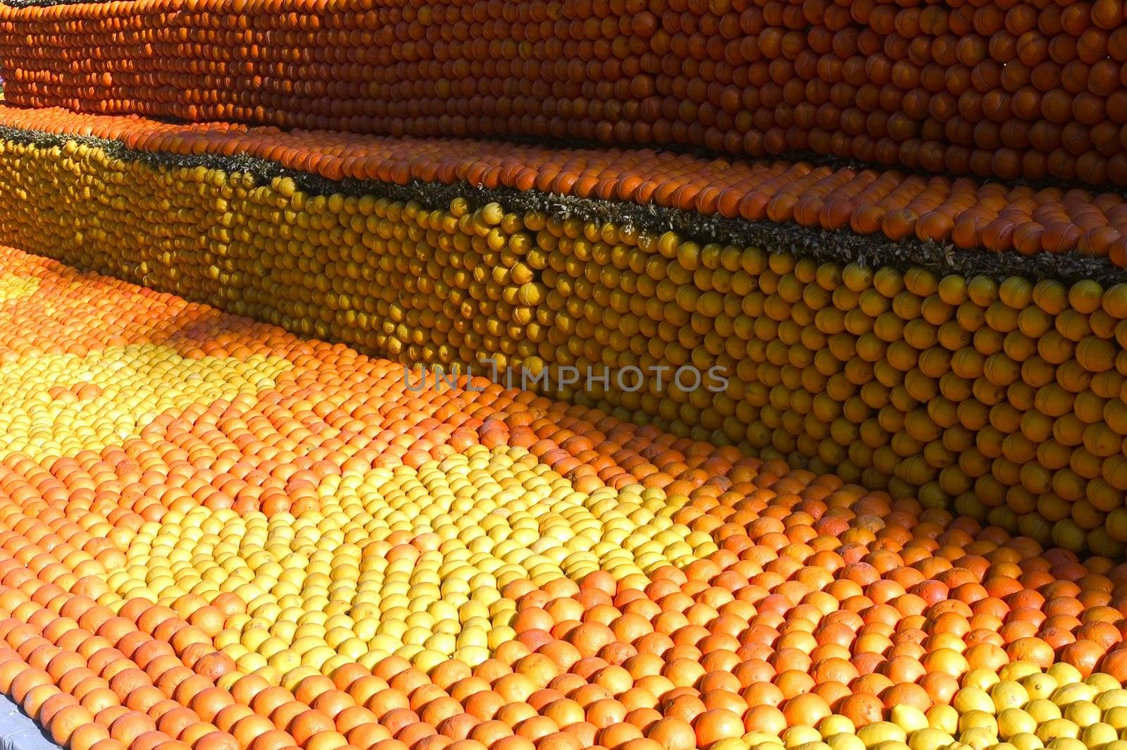 With this occasion the gardens are the theater of construction of monument out of oranges and lemons on a different topic each years.