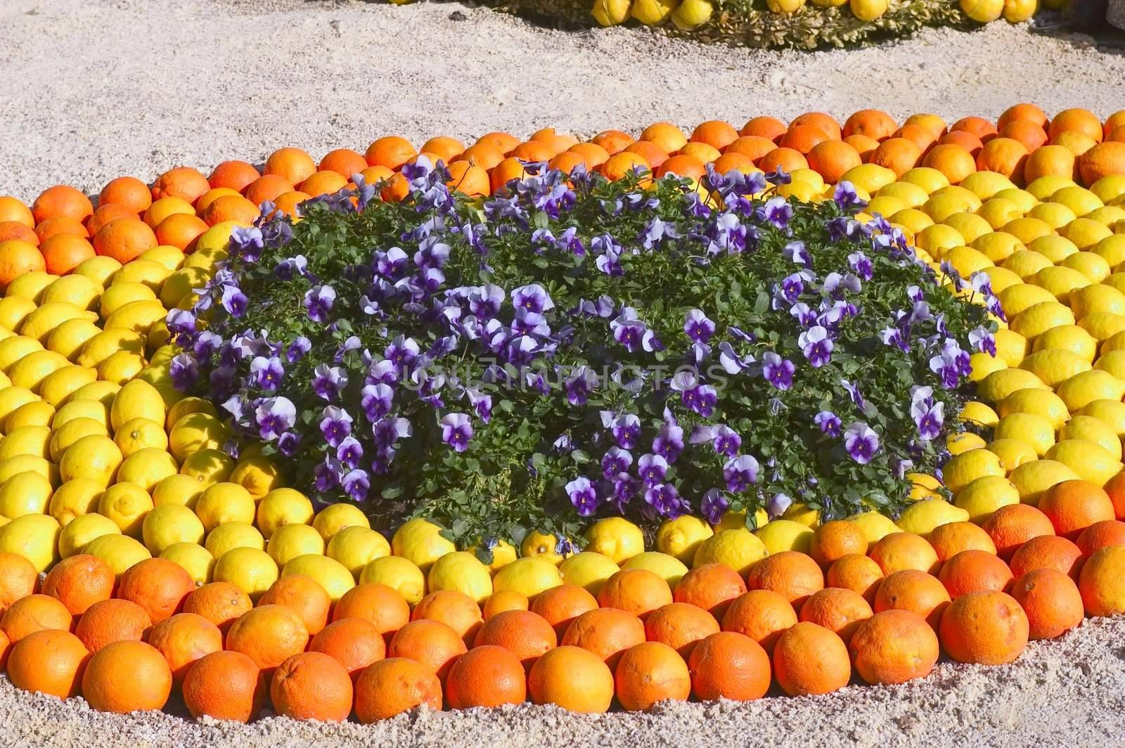 With this occasion the gardens are the theater of construction of monument out of oranges and lemons on a different topic each years.