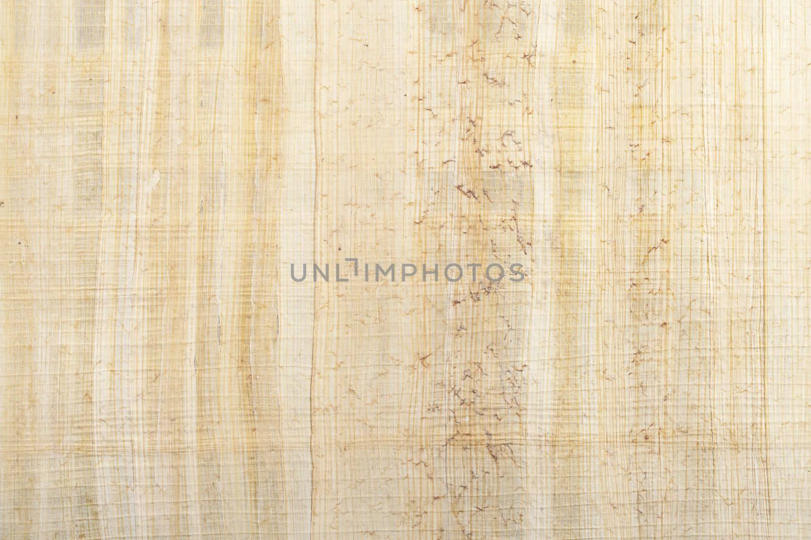 Papyrus type paper texture use as background
