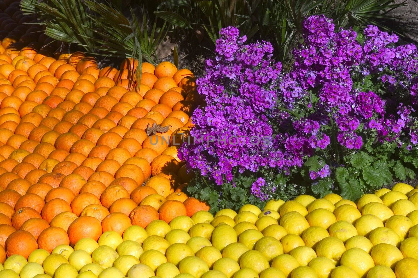 With this occasion the gardens are the theater of construction of monument out of oranges and lemons on a different topic each years.