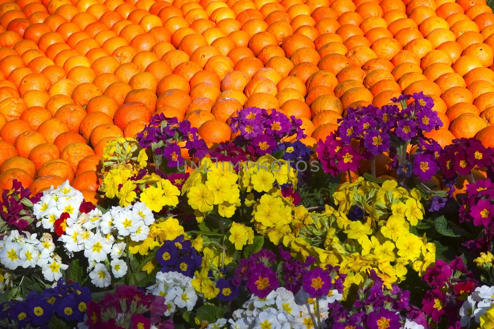 With this occasion the gardens are the theater of construction of monument out of oranges and lemons on a different topic each years.