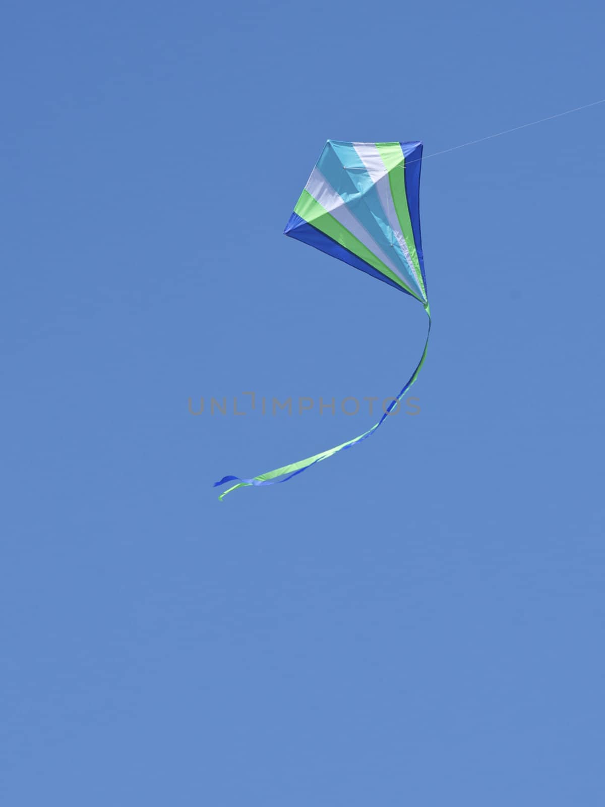 Kite Flying by instinia