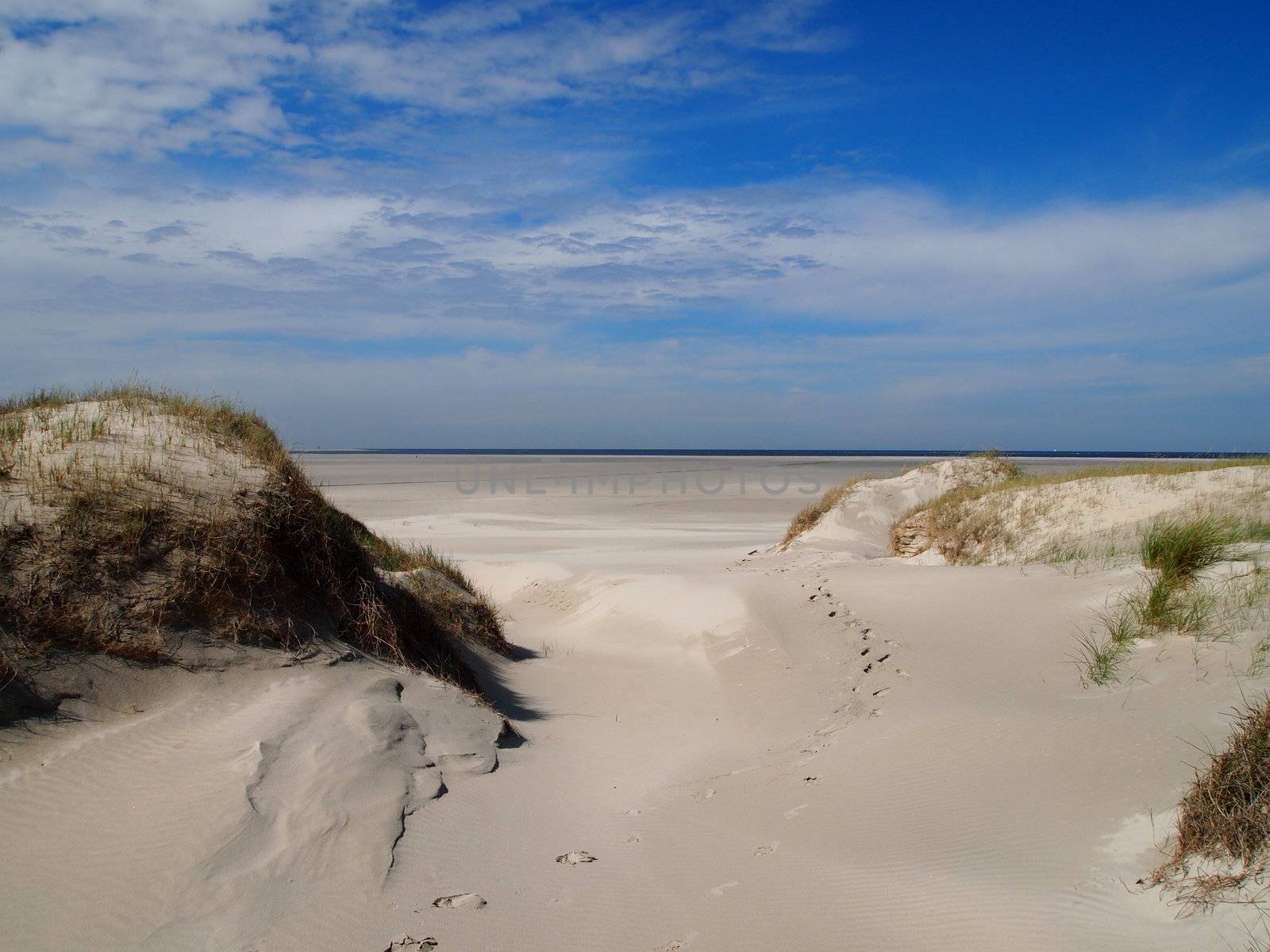 View on one of the beaches of Terschelling, Netherlands