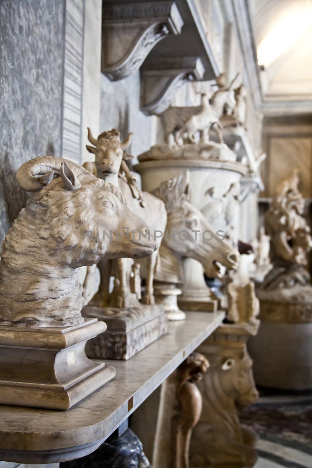 Vatican Museums, Rome, Italy: collection of statues