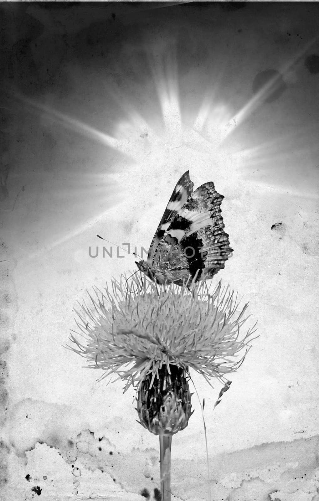 grunge background