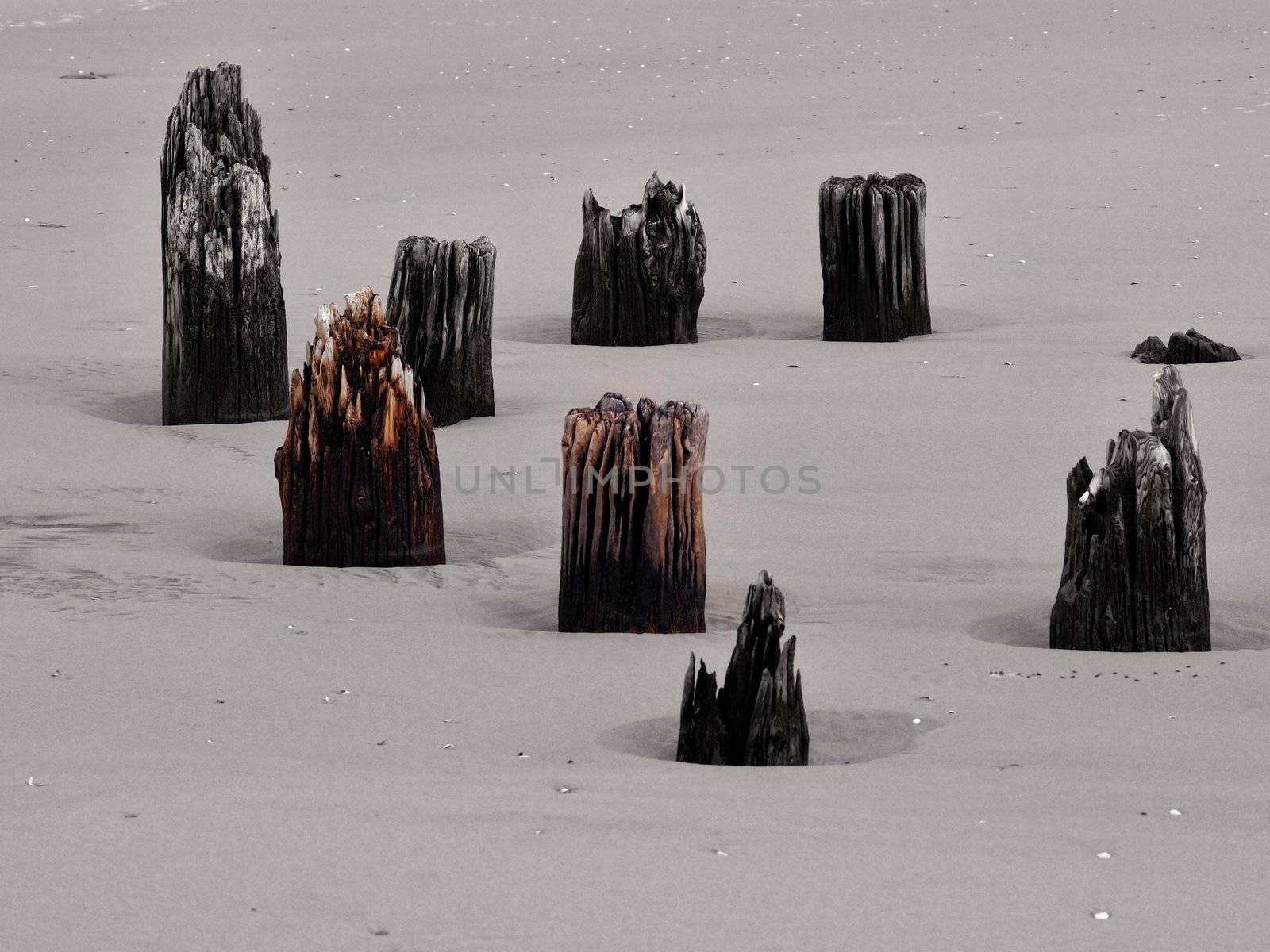 Wooden poles at the Dutch beach by douwe
