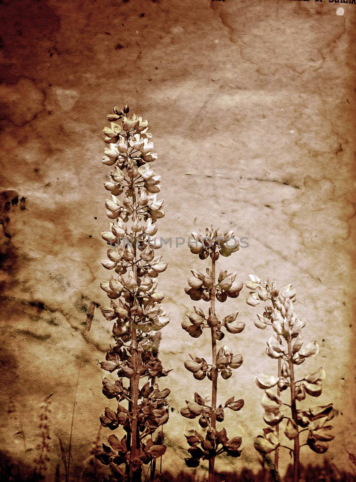 grunge background