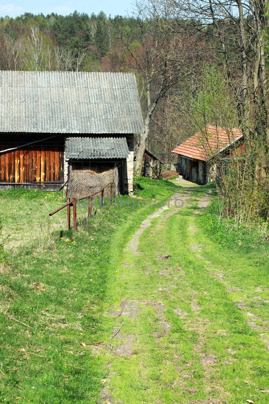 rural landscape with farm buildings and road