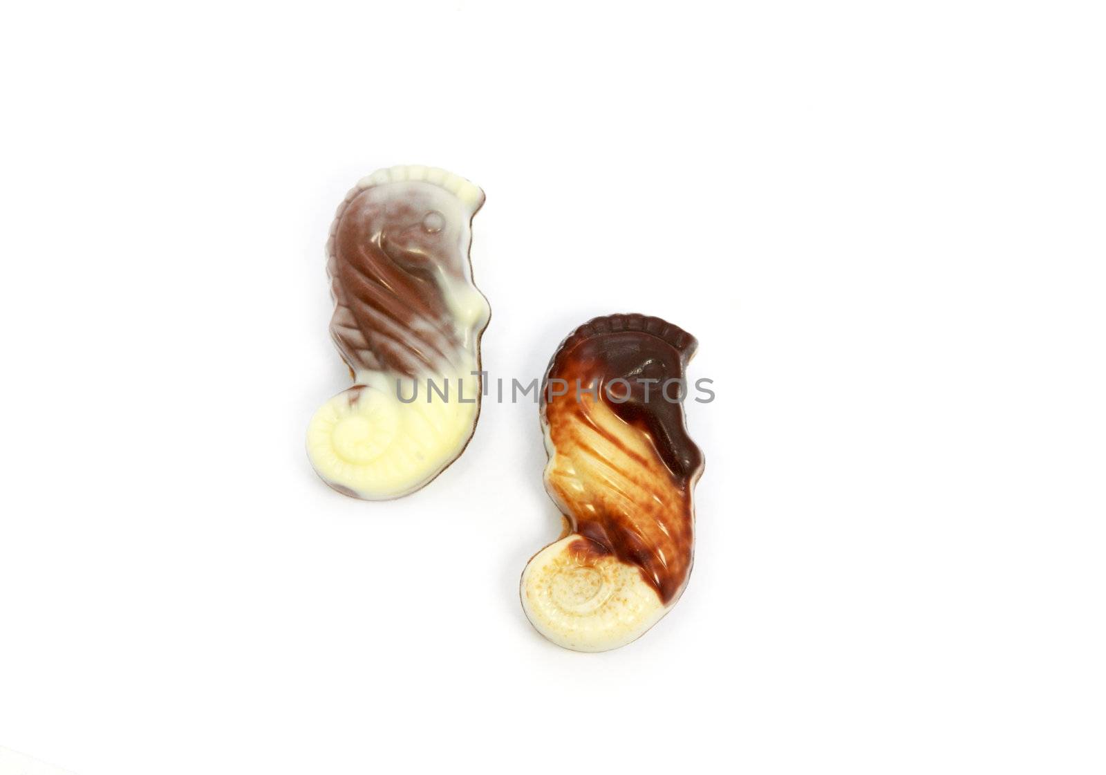 chocolate sea horses by catolla