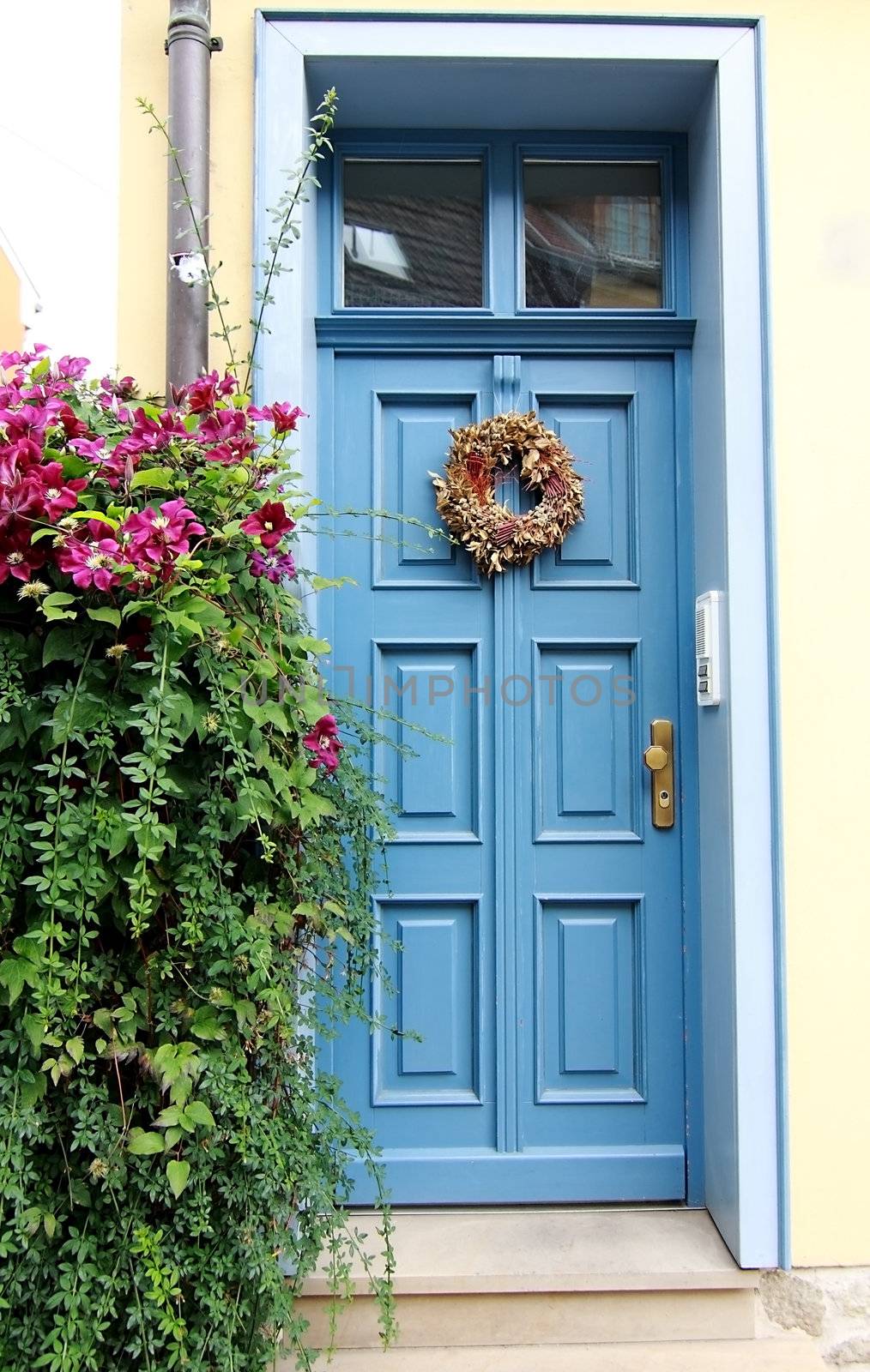blue wooden door by catolla