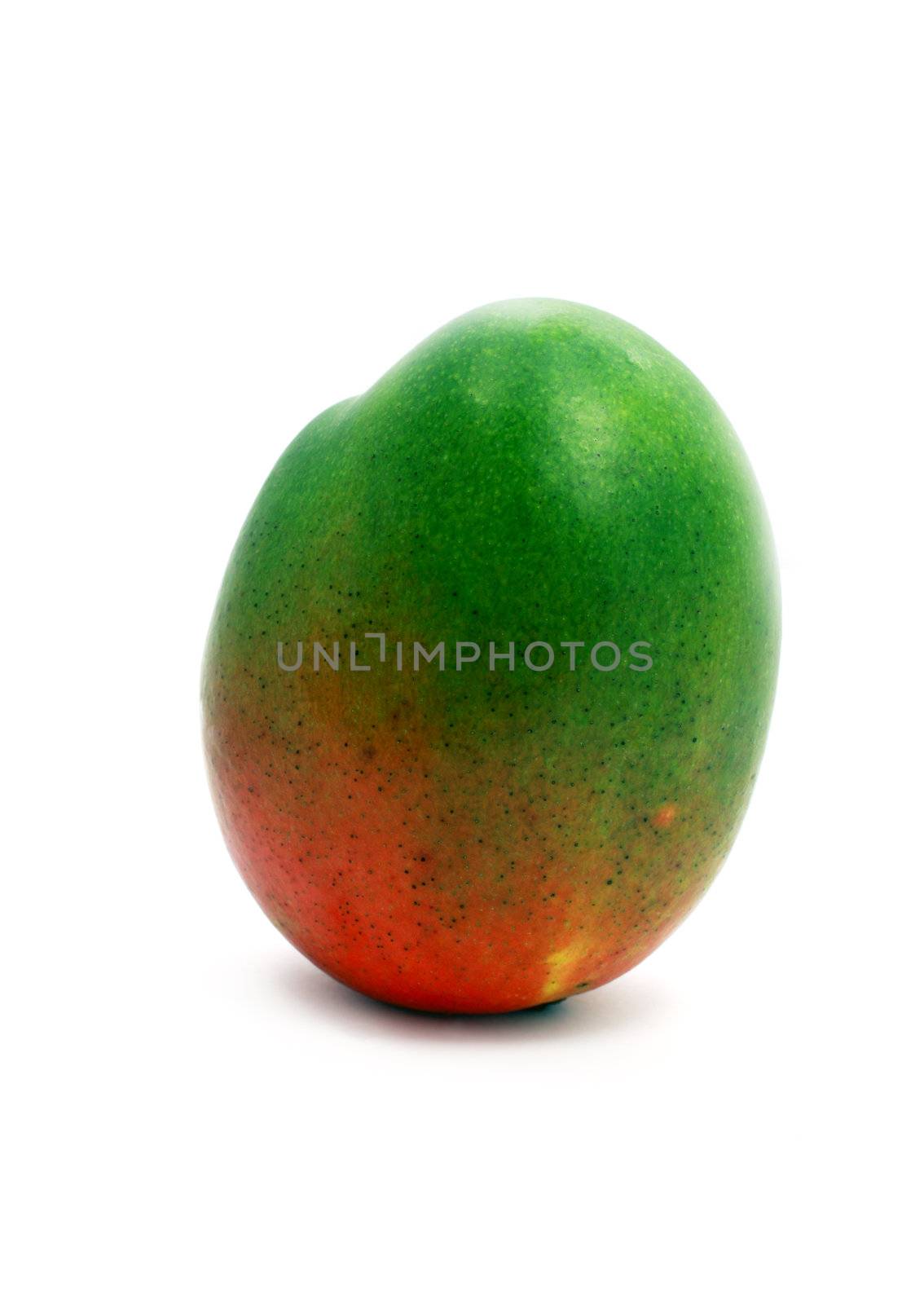 single fresh mango isolated on white background