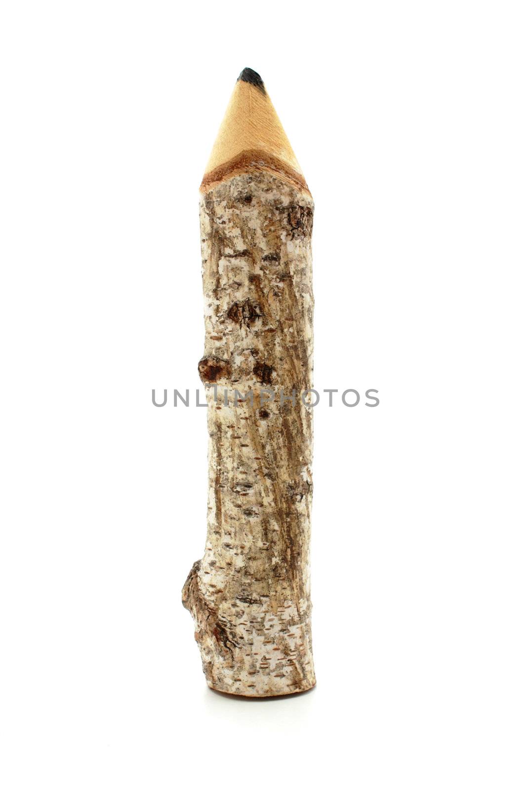 pencil made from birchwood isolated on white