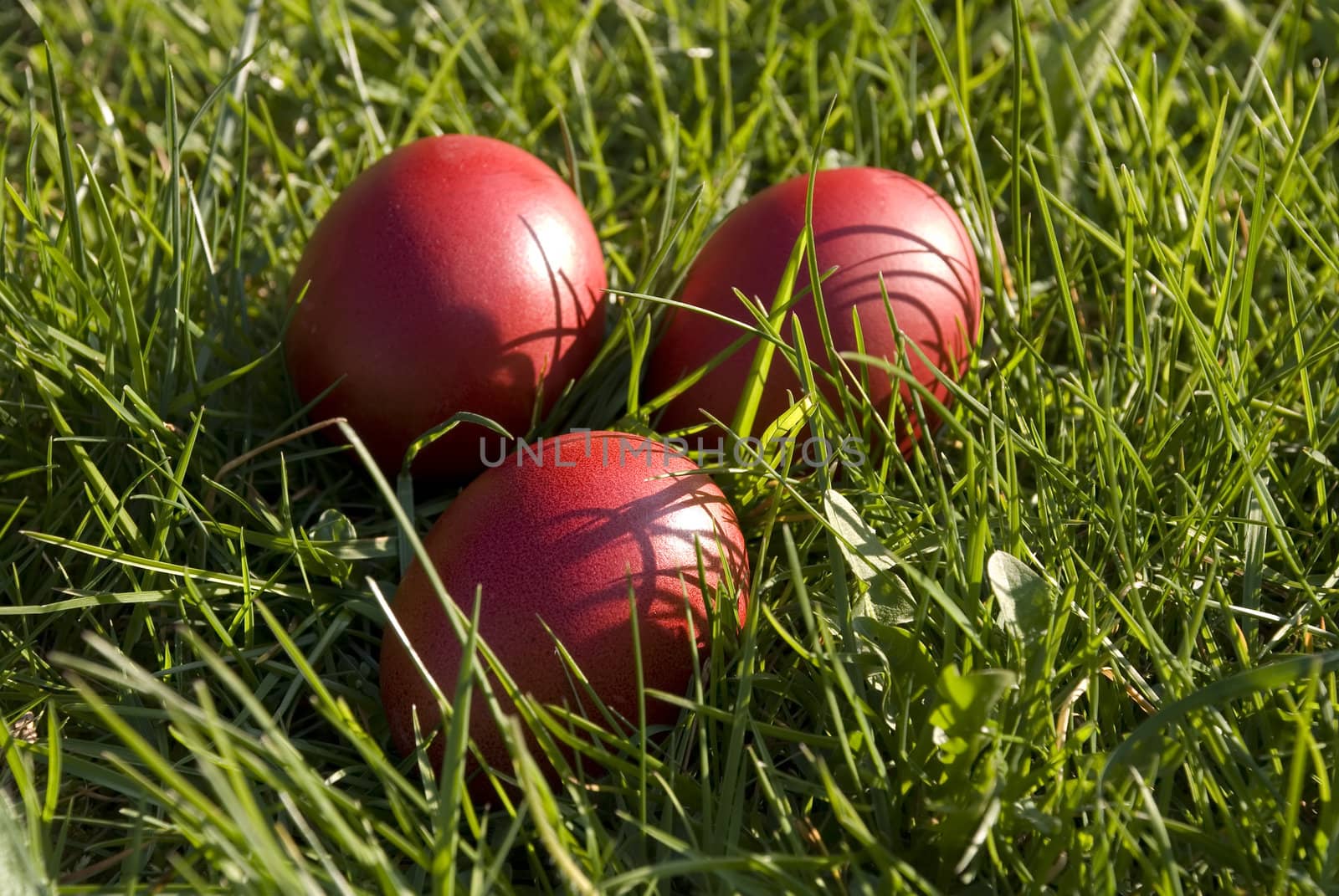 Three easter eggs lying in the grass